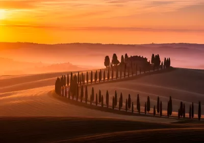 Imagen PNG para descargar